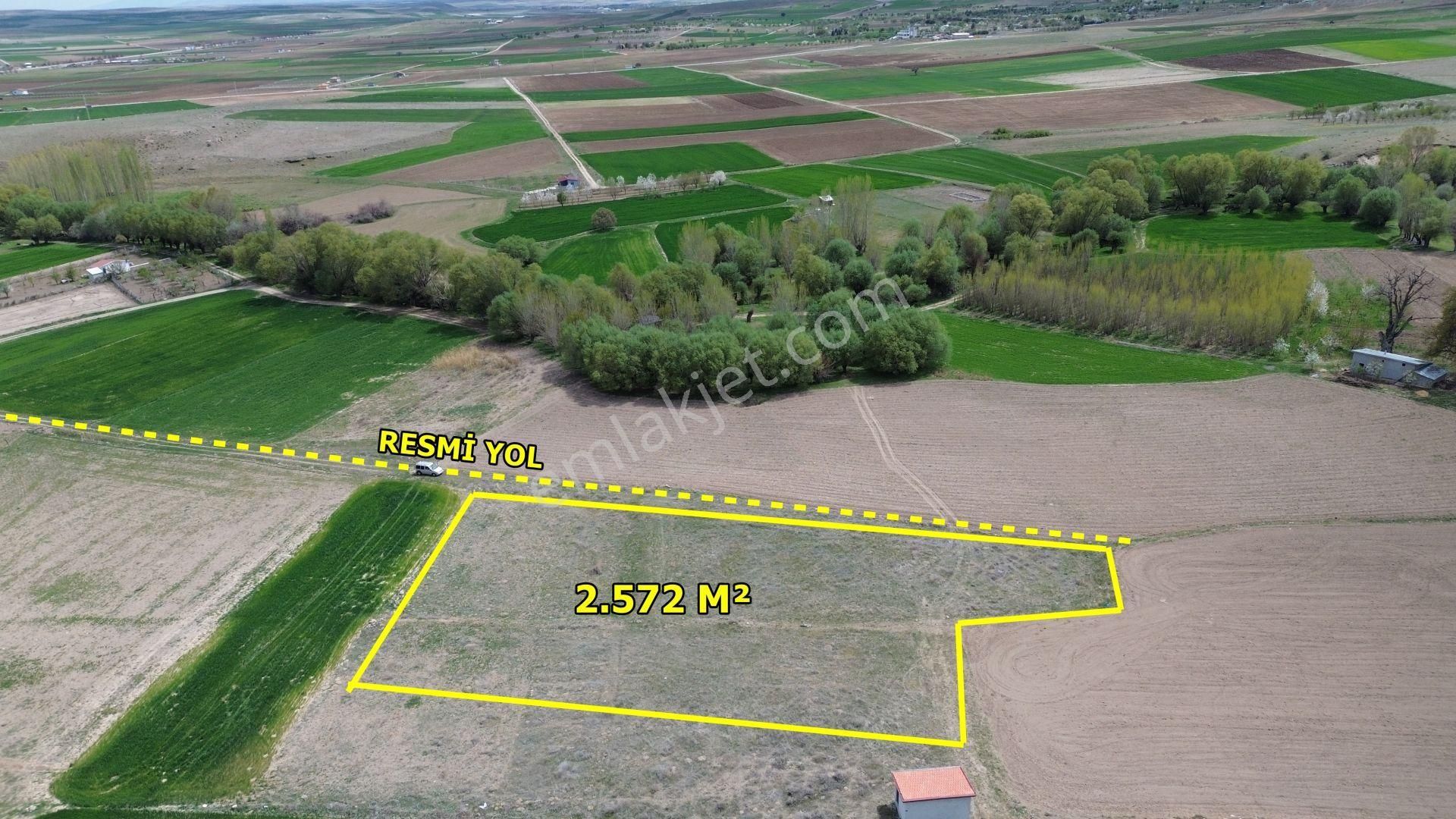 Konya / Meram / Hatunsaray Mahallesinde 2.572 M² Müstakil Tapulu Tarla