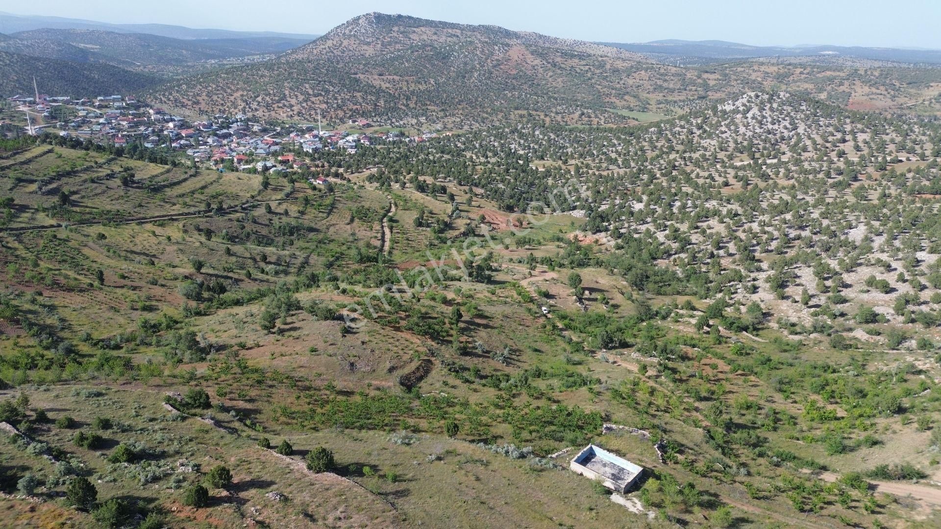 Konya / Bozkır / Hacılar Mahallesinde 1.043 M² Müstakil Tapulu Bahçe - Görsel 6