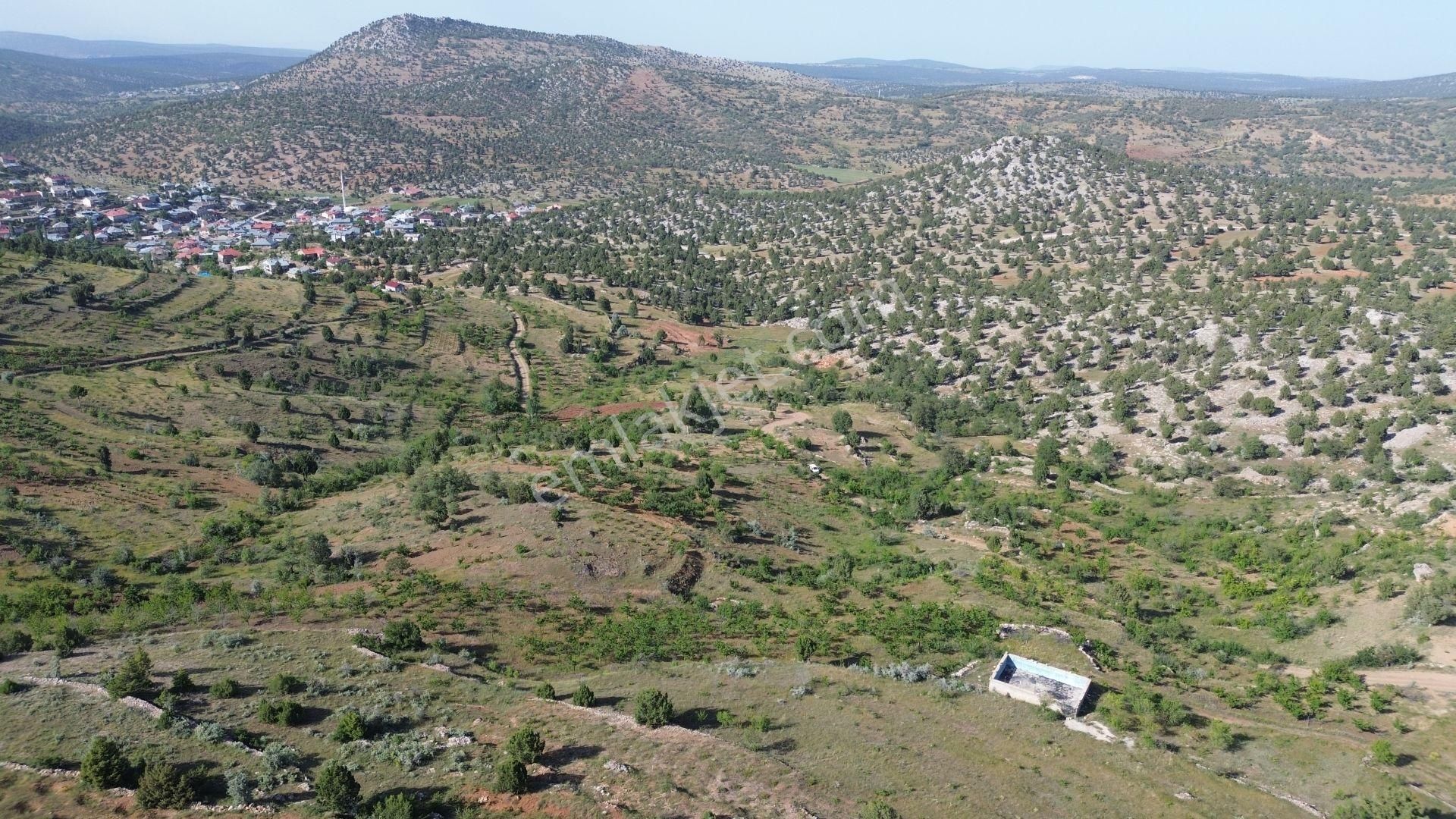 Konya / Bozkır / Hacılar Mahallesinde 1.043 M² Müstakil Tapulu Bahçe - Görsel 2