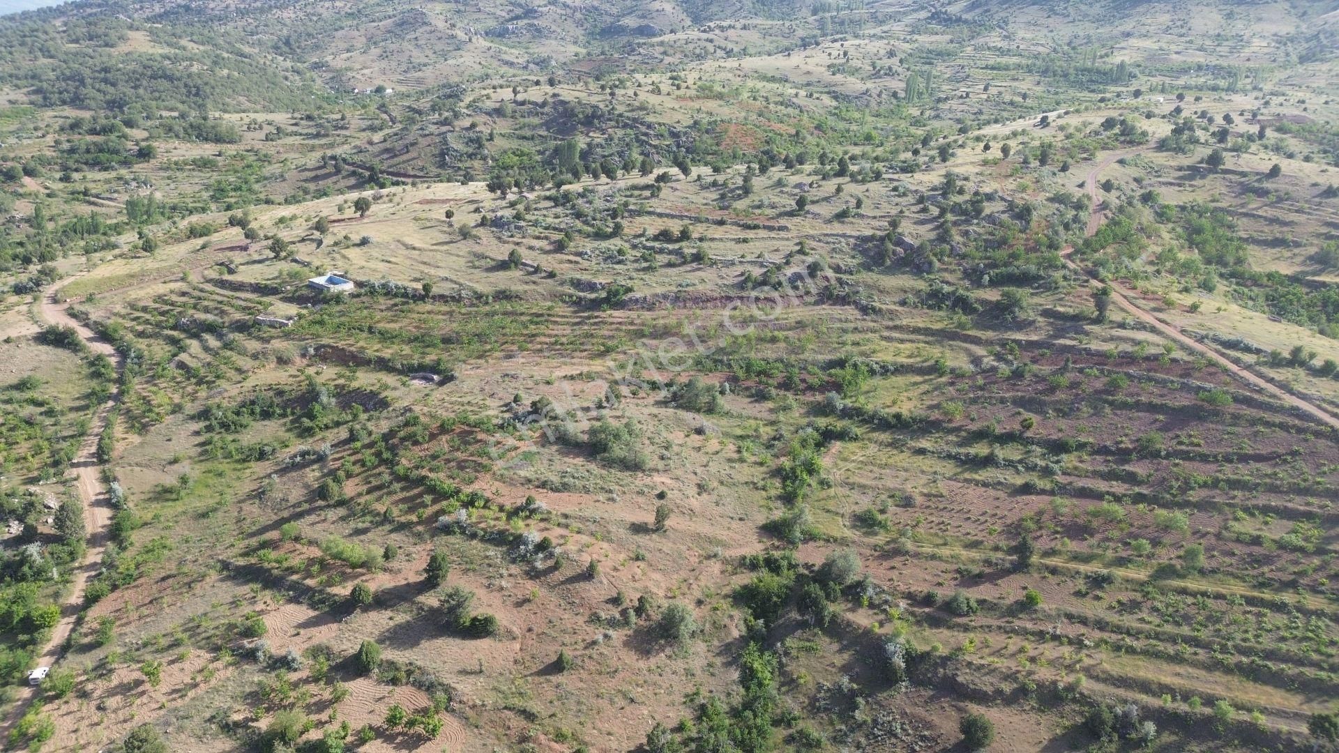 Konya / Bozkır / Hacılar Mahallesinde 1.043 M² Müstakil Tapulu Bahçe - Görsel 7