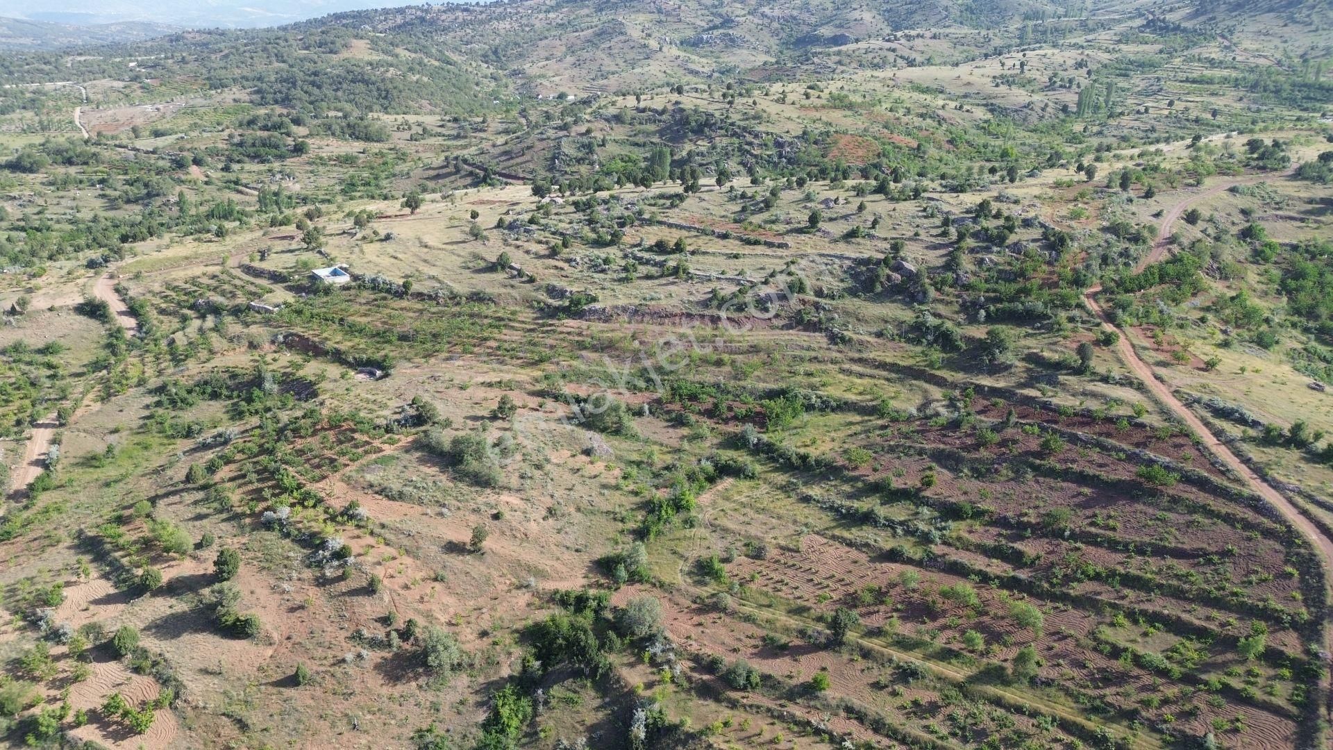 Konya / Bozkır / Hacılar Mahallesinde 1.043 M² Müstakil Tapulu Bahçe - Görsel 5