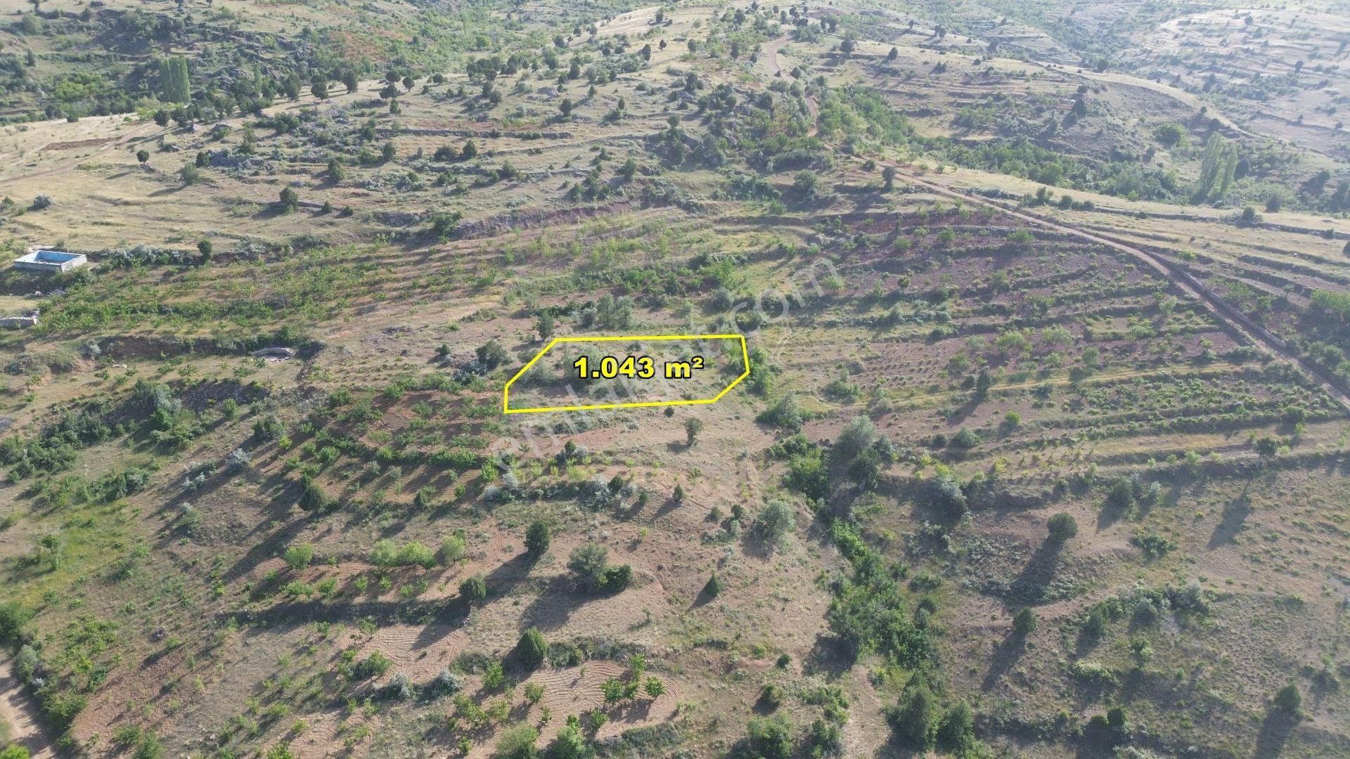 Konya / Bozkır / Hacılar Mahallesinde 1.043 M² Müstakil Tapulu Bahçe