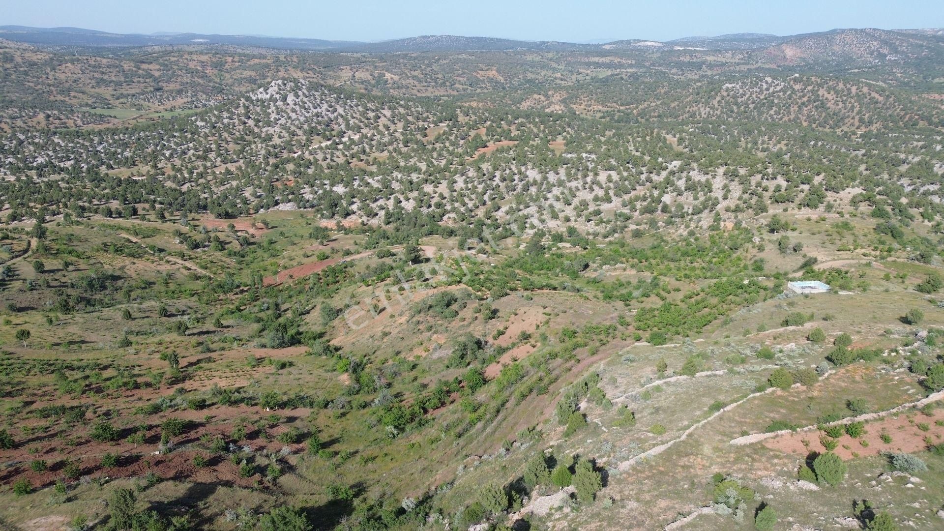 Konya / Bozkır / Hacılar Mahallesinde 1.043 M² Müstakil Tapulu Bahçe - Görsel 3