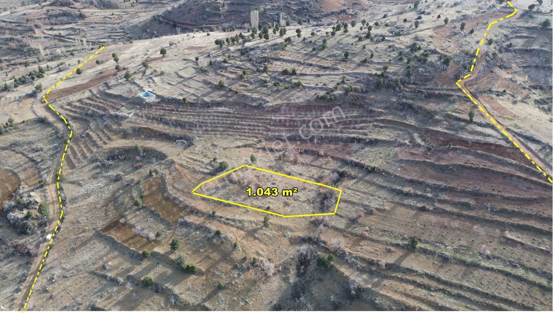 Konya / Bozkır / Hacılar Mahallesinde 1.043 M² Müstakil Tapulu Bahçe - Görsel 4