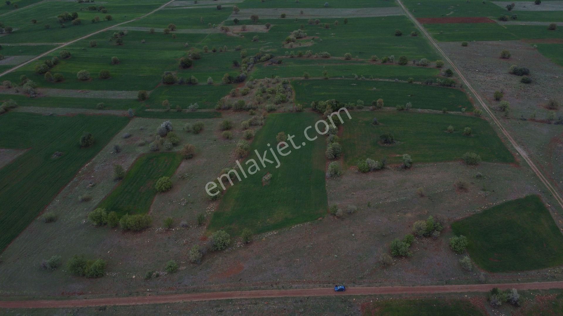 Konya / Akören / Ağalar Mahallesinde 6.750 M² Müstakil Tapulu Tarla - Görsel 4