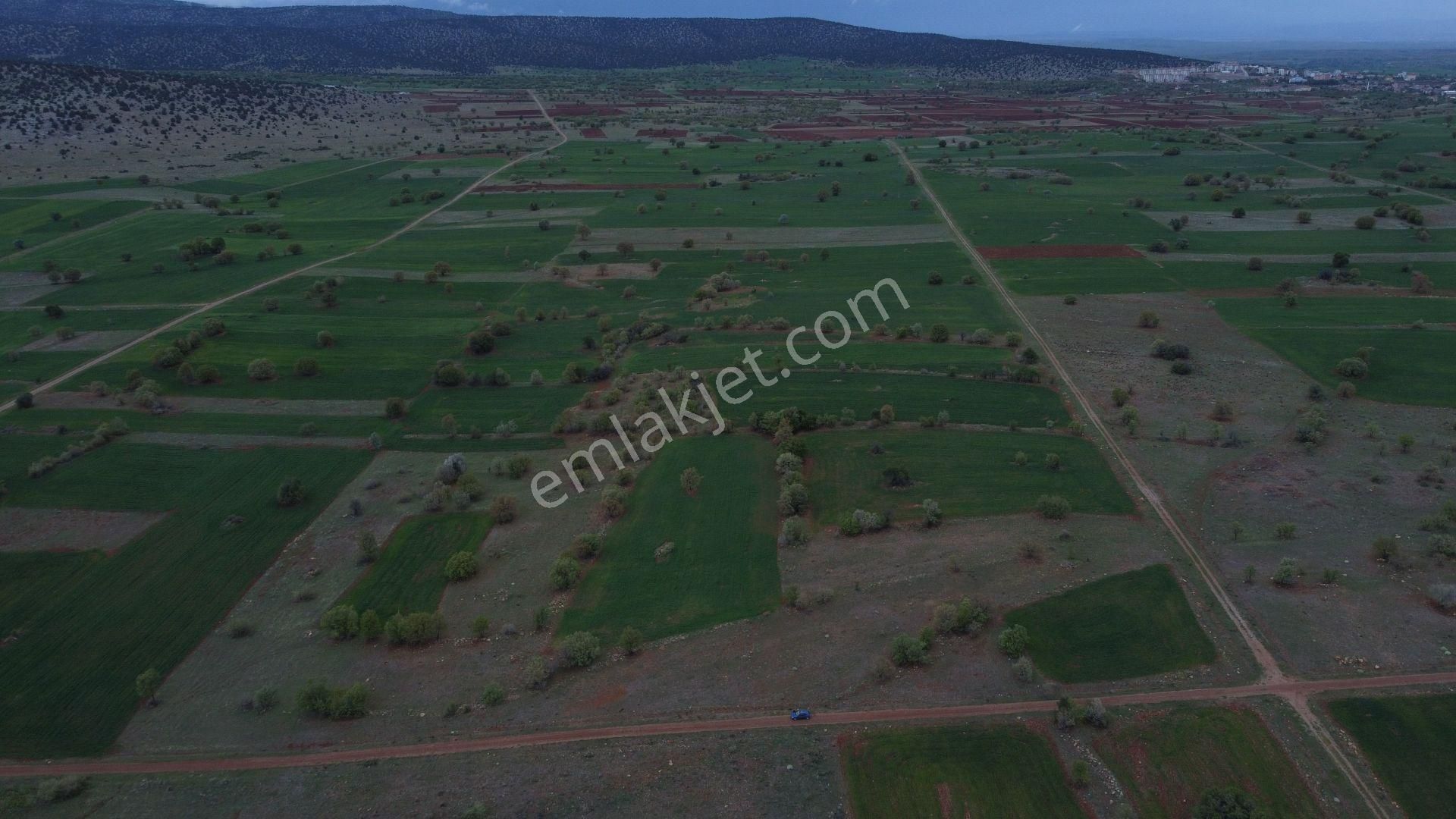 Konya / Akören / Ağalar Mahallesinde 6.750 M² Müstakil Tapulu Tarla - Görsel 2