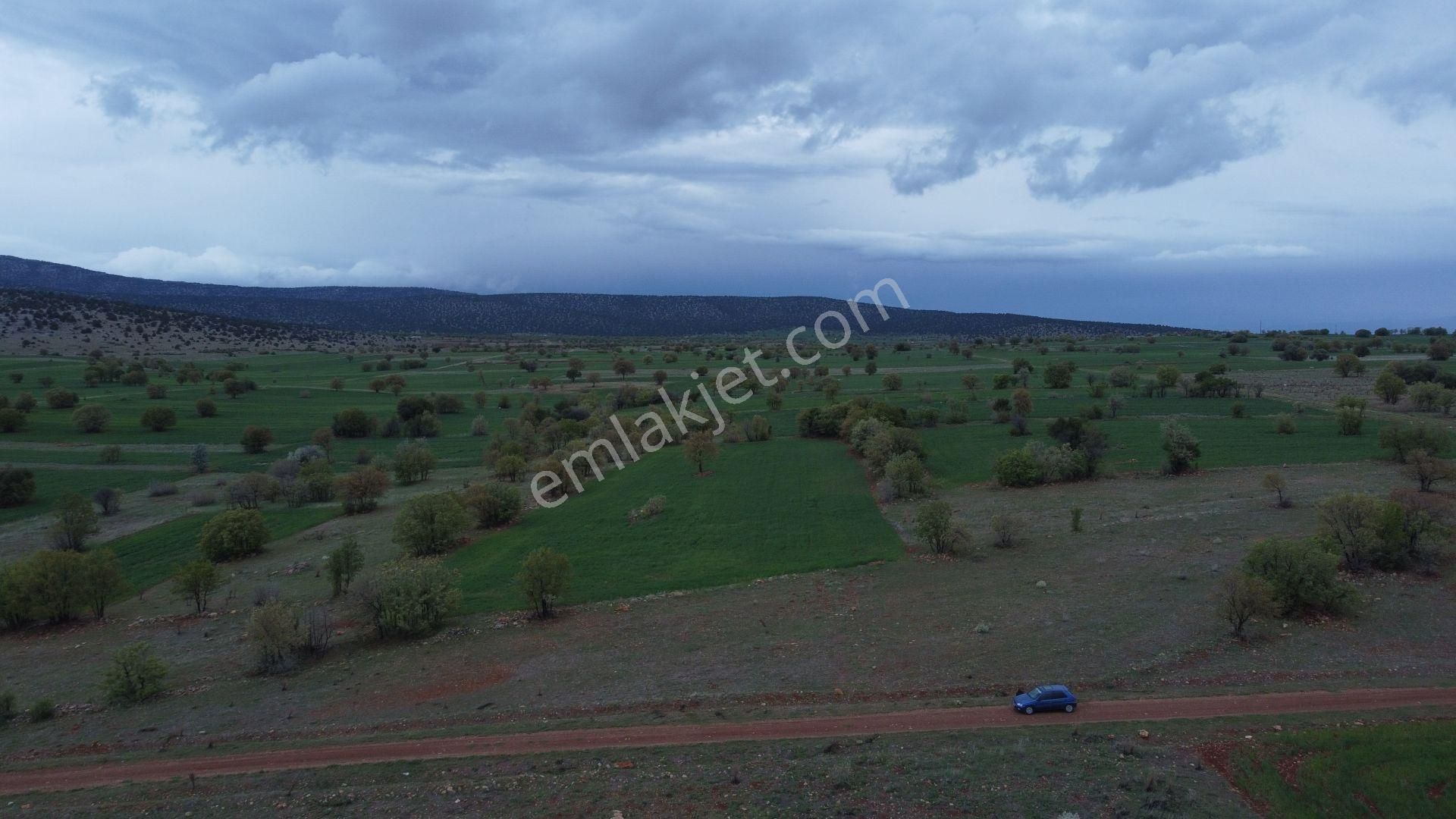 Konya / Akören / Ağalar Mahallesinde 6.750 M² Müstakil Tapulu Tarla - Görsel 3