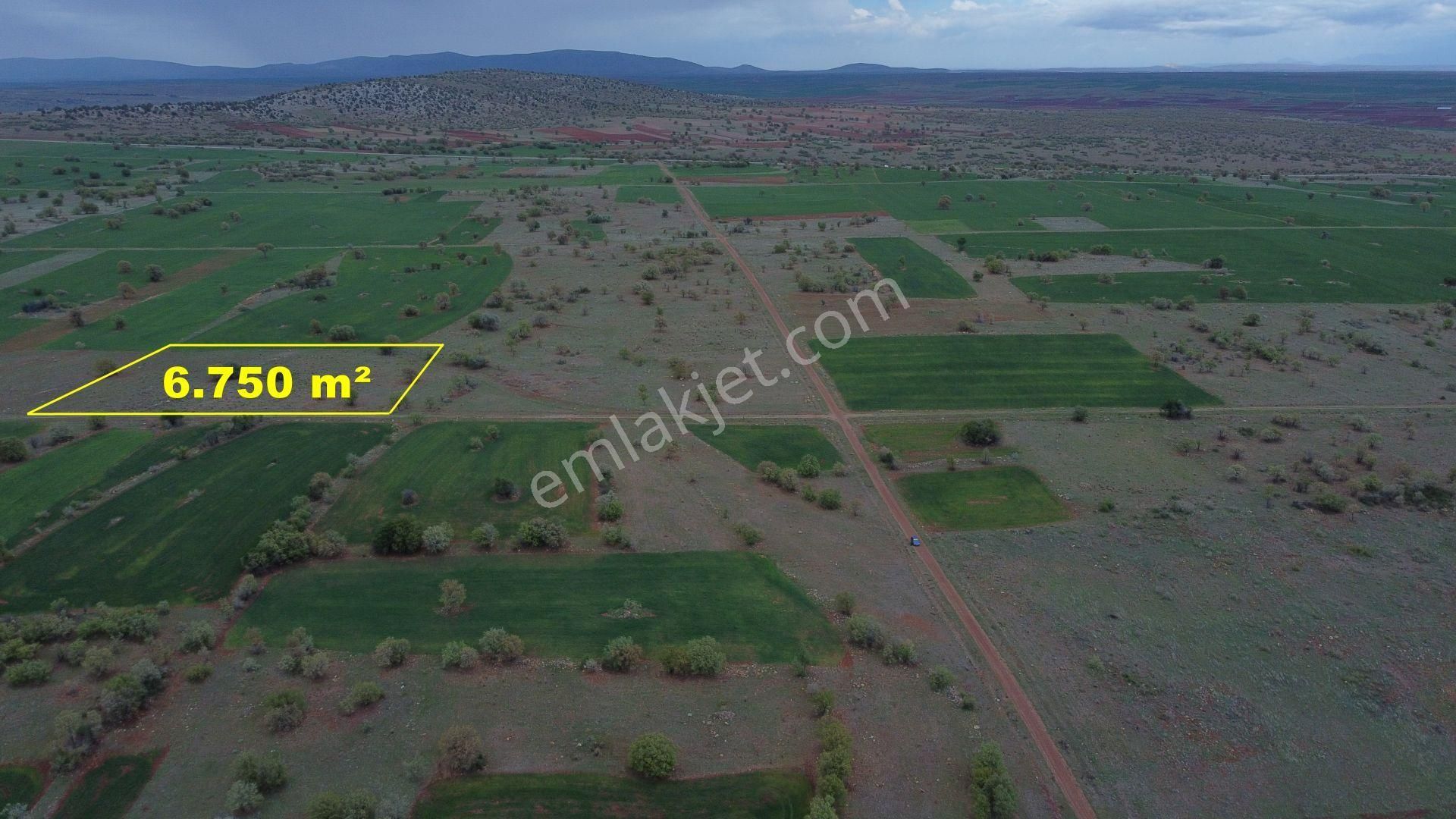 Konya / Akören / Ağalar Mahallesinde 6.750 M² Müstakil Tapulu Tarla - Görsel 6