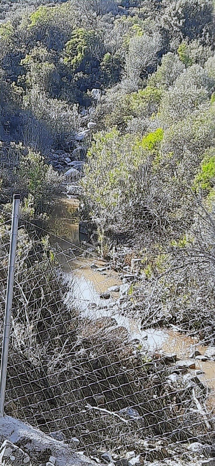 Karaburun Eğlenhocada Yola Cepheli 7.128m2 Zeytin Ağaçlı Tarla - Görsel 20