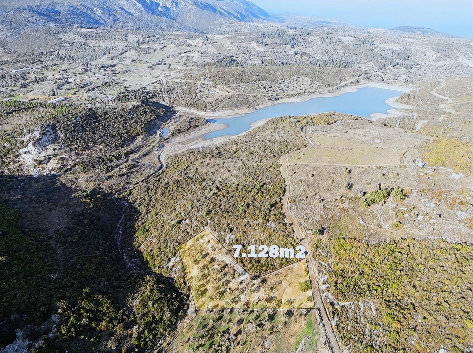 Karaburun Eğlenhocada Yola Cepheli 7.128m2 Zeytin Ağaçlı Tarla - Görsel 10