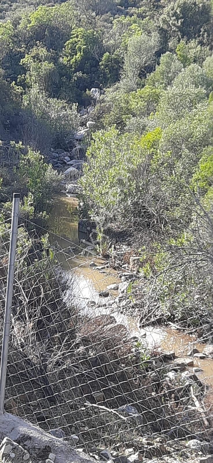Karaburun Eğlenhocada Yola Cepheli 7.128m2 Zeytin Ağaçlı Tarla - Görsel 23