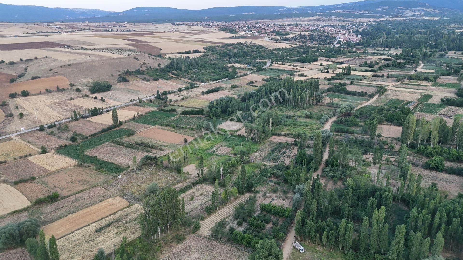 Konya / Doğanhisar / Zafer Mahallesinde 550 M² Müstakil Tapulu Tarla - Görsel 6