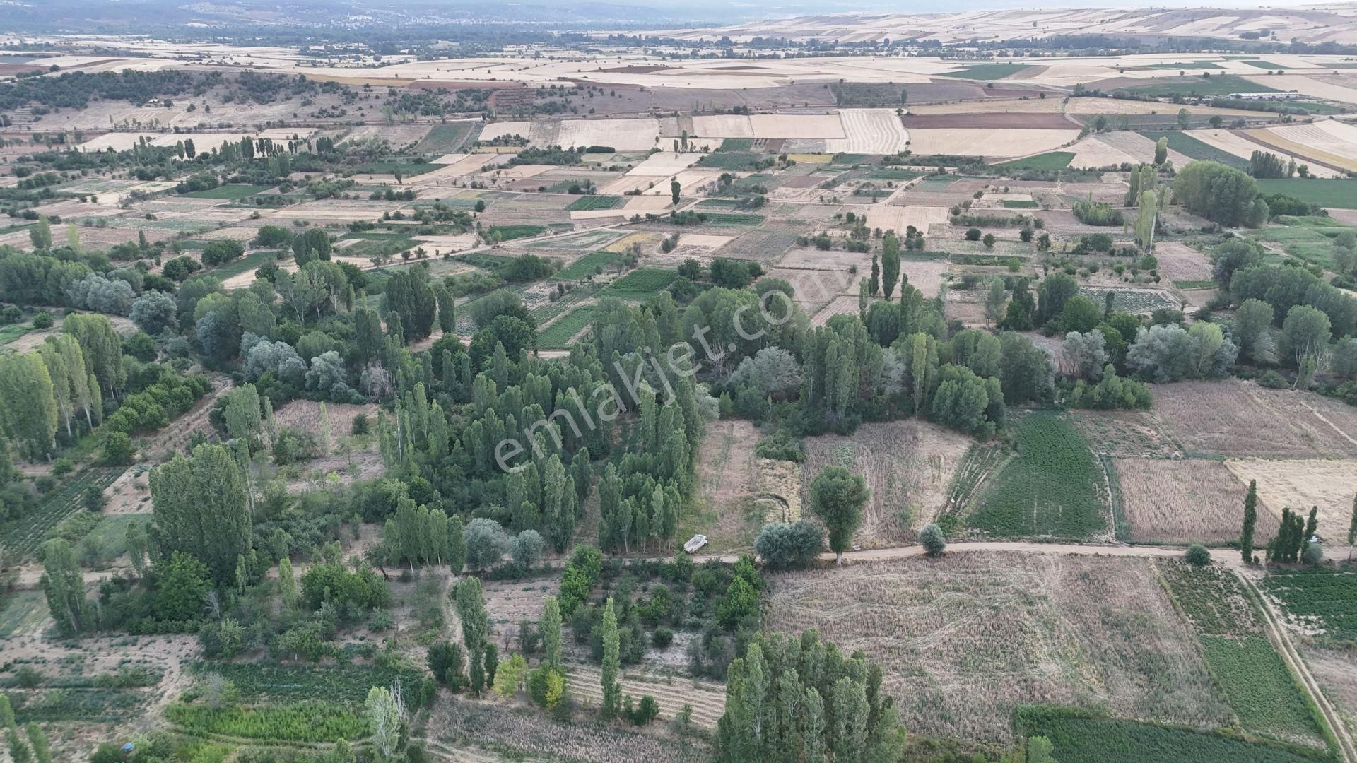 Konya / Doğanhisar / Zafer Mahallesinde 550 M² Müstakil Tapulu Tarla - Görsel 5