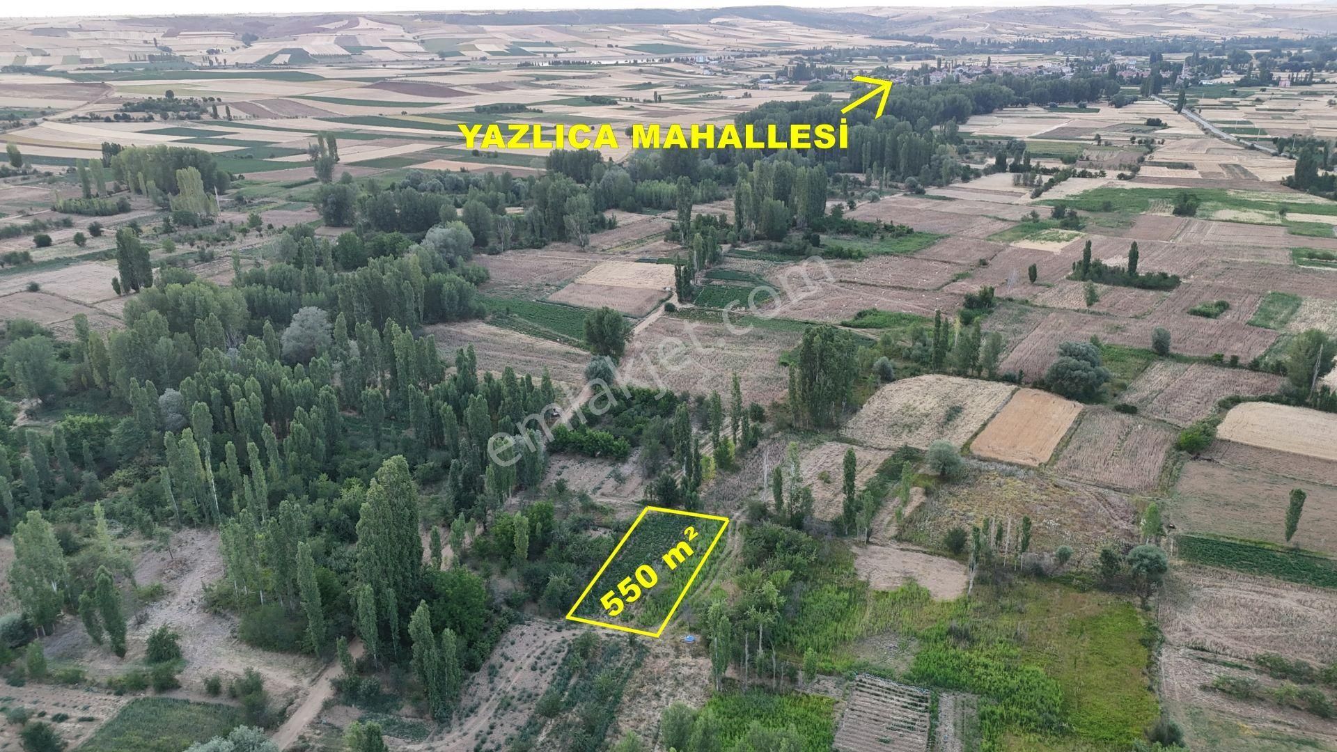Konya / Doğanhisar / Zafer Mahallesinde 550 M² Müstakil Tapulu Tarla - Görsel 8