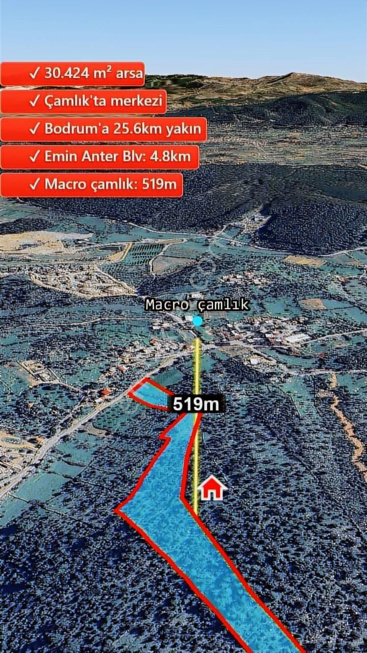 Bodrum Çamlık Satılık Zeytinli Tarla - Görsel 10