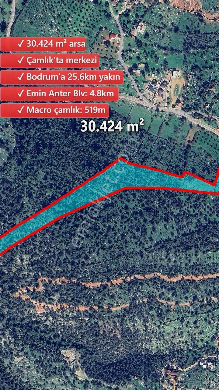 Bodrum Çamlık Satılık Zeytinli Tarla - Görsel 6
