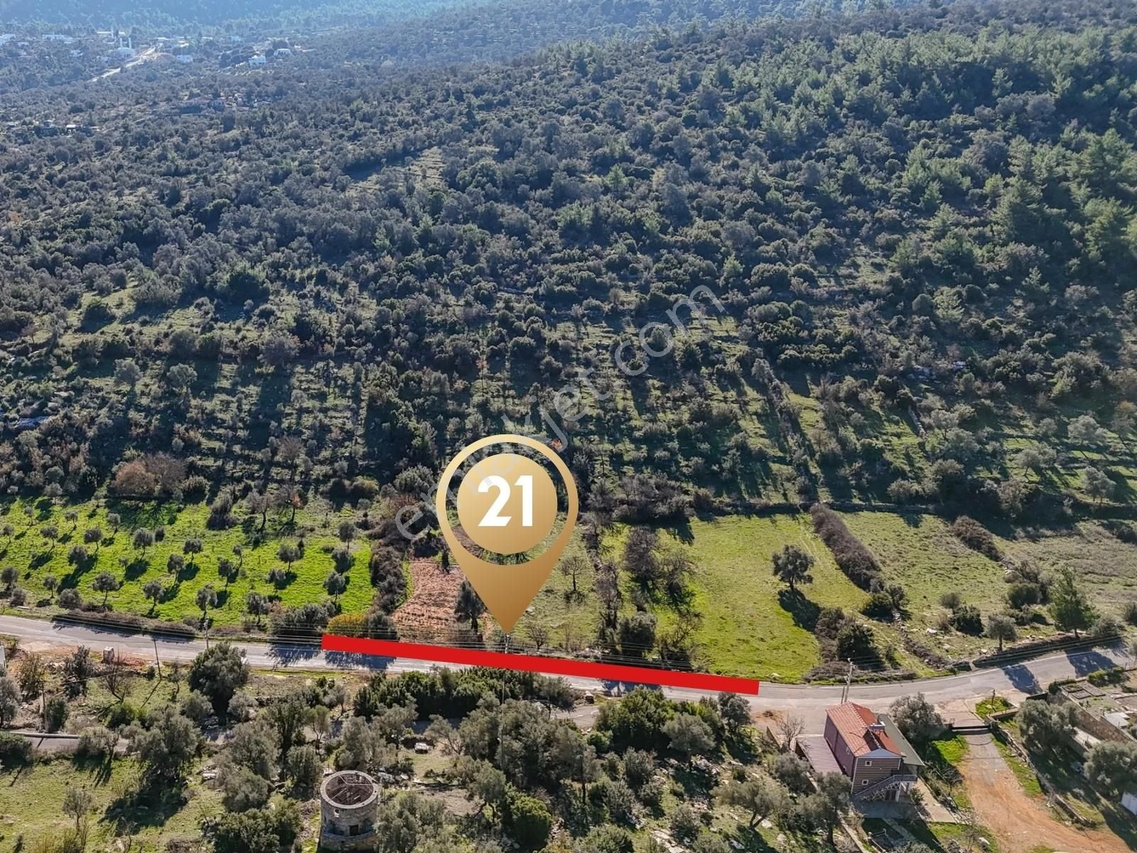 Bodrum Çamlık Satılık Zeytinli Tarla - Görsel 8