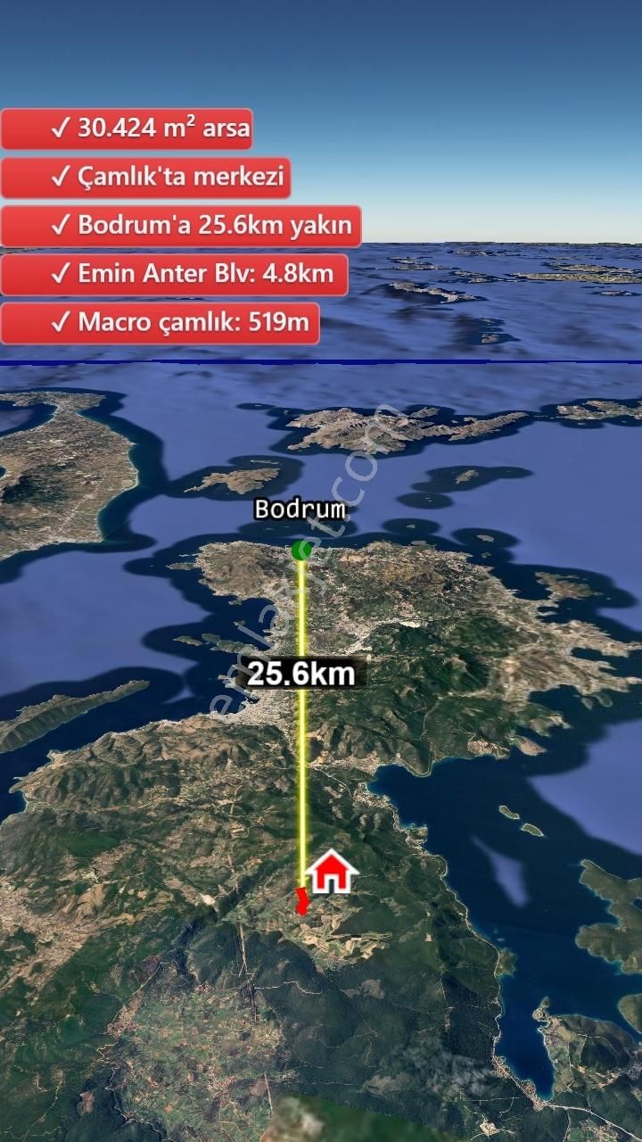 Bodrum Çamlık Satılık Zeytinli Tarla - Görsel 4