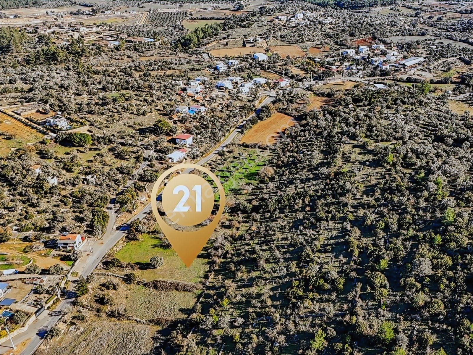 Bodrum Çamlık Satılık Zeytinli Tarla - Görsel 9