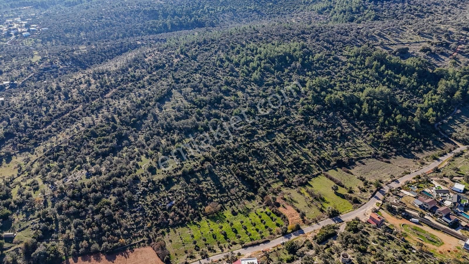 Bodrum Çamlık Satılık Zeytinli Tarla - Görsel 13