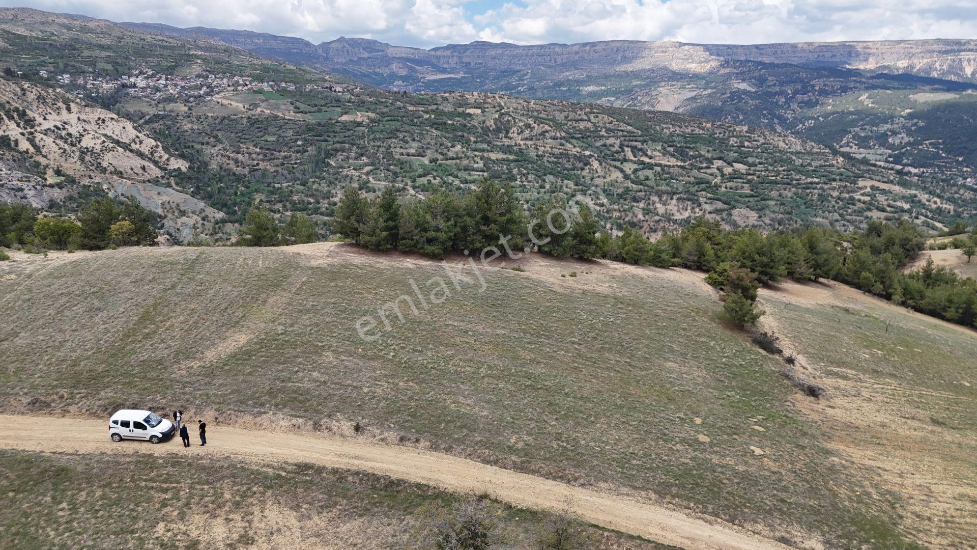 Karaman / Başyayla / Üzümlü Mahallesinde 3.488 M² Müstakil Tapulu Tarla - Görsel 8