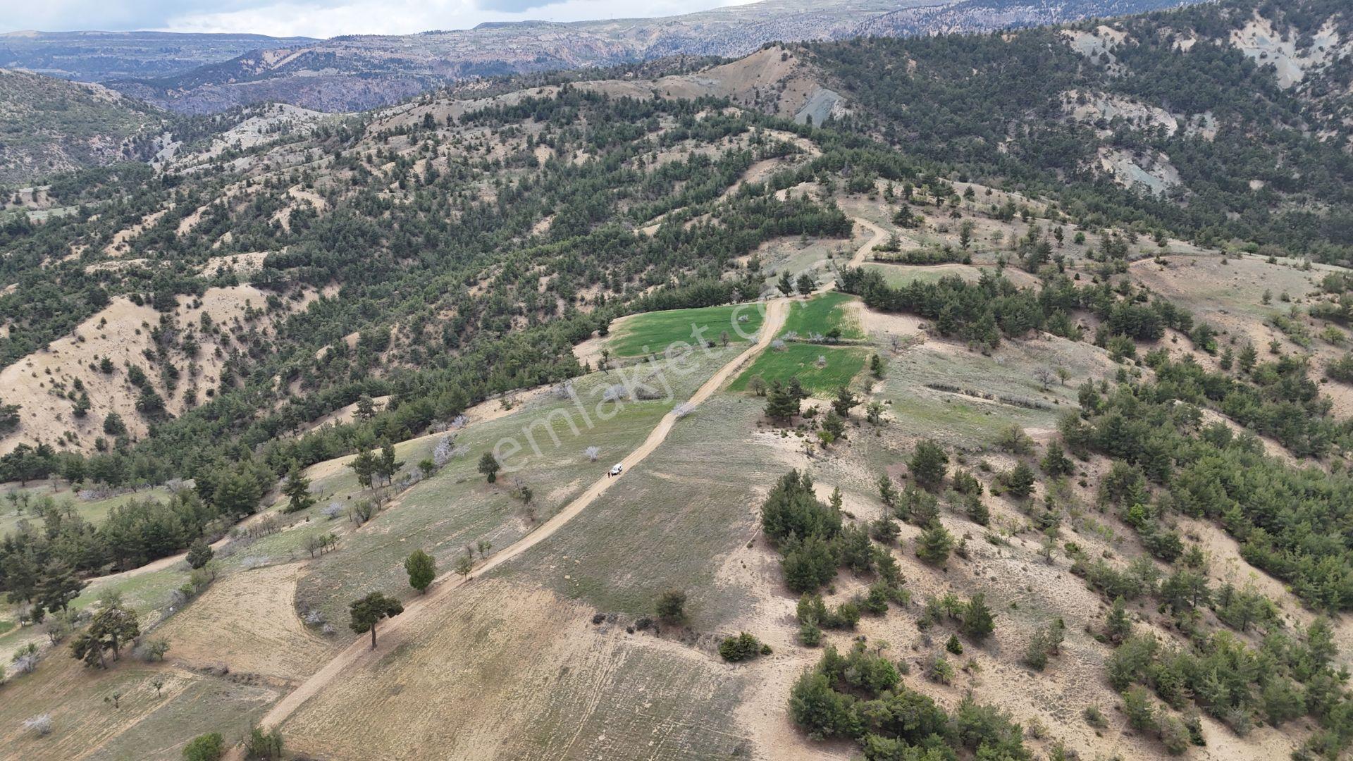 Karaman / Başyayla / Üzümlü Mahallesinde 3.488 M² Müstakil Tapulu Tarla - Görsel 7