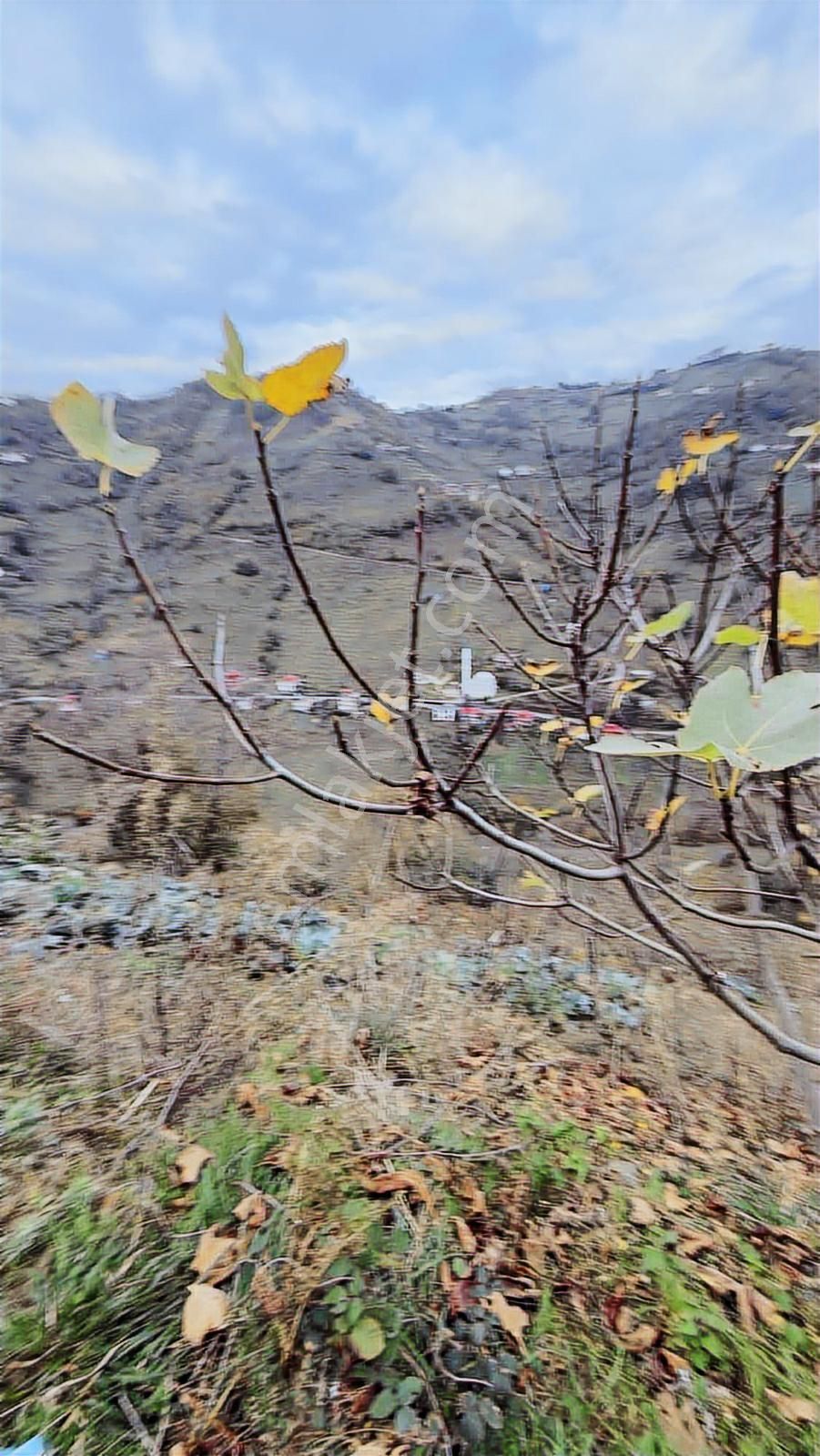 Trabzon Çarşıbaşında İki Villalık Projeli Arazi - Görsel 15