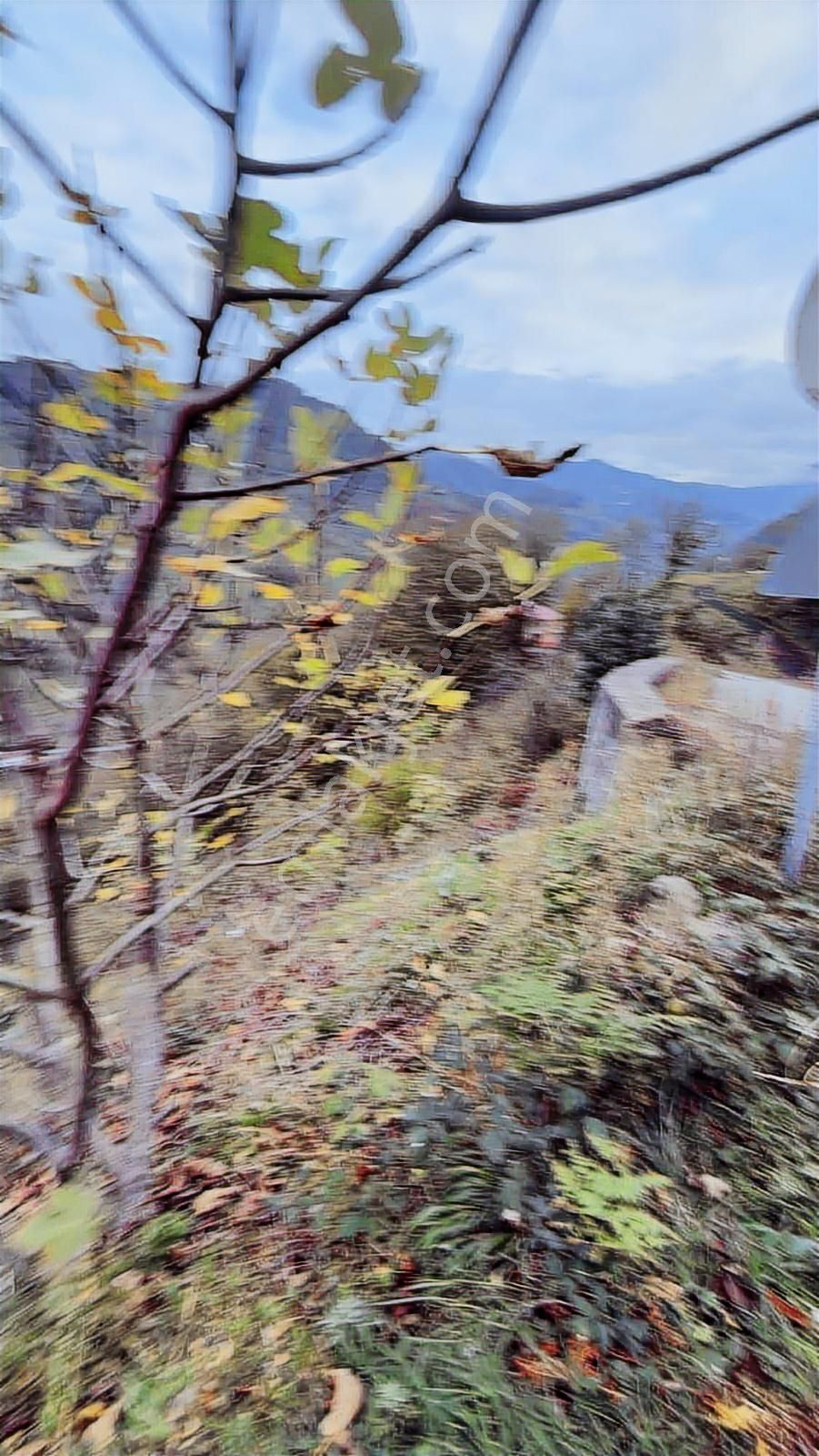 Trabzon Çarşıbaşında İki Villalık Projeli Arazi - Görsel 24