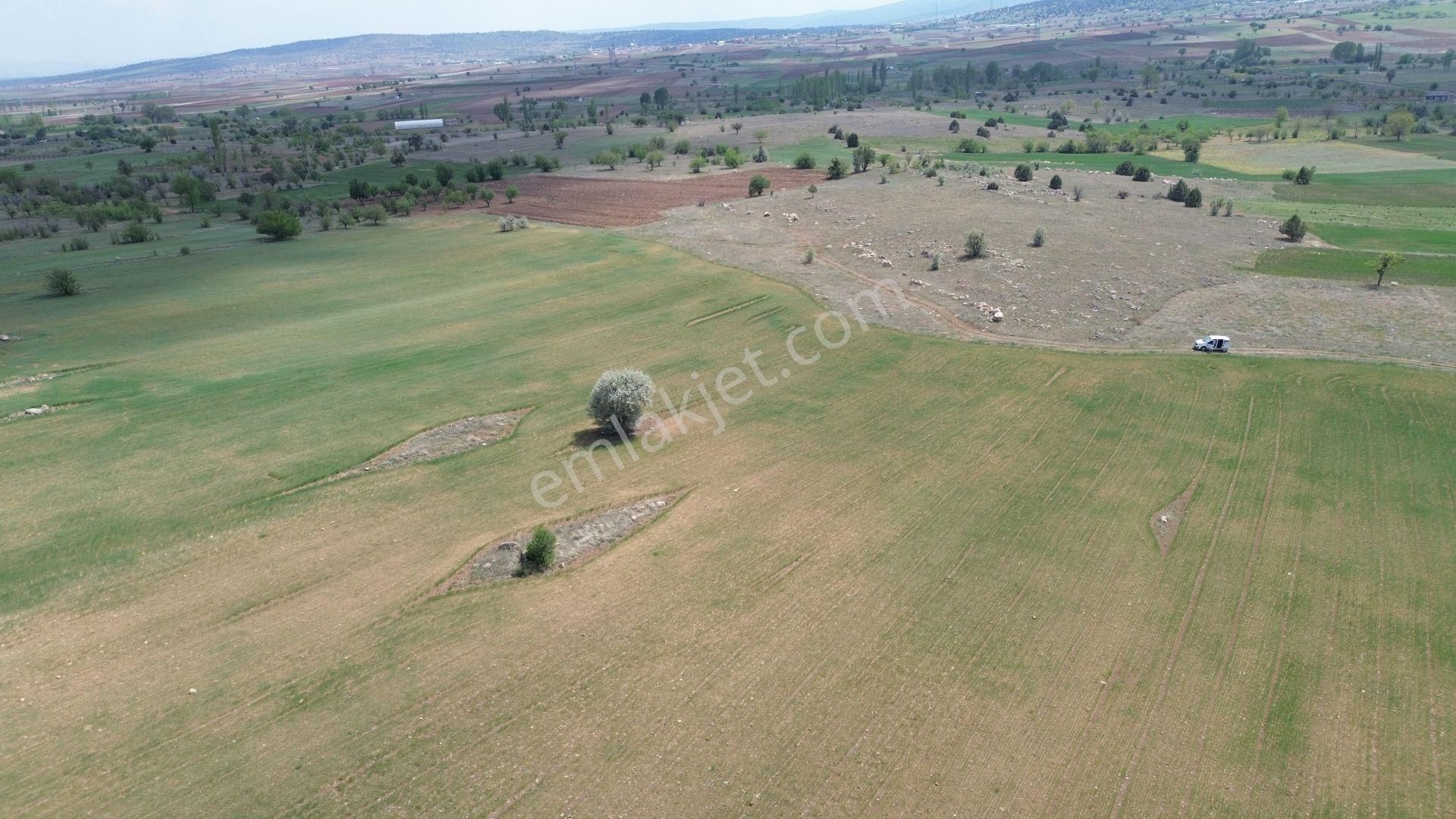Konya / Akören / Tülce Mahallesinde 2.822 M² Verimli Müstakil Tapu Tarla - Görsel 6
