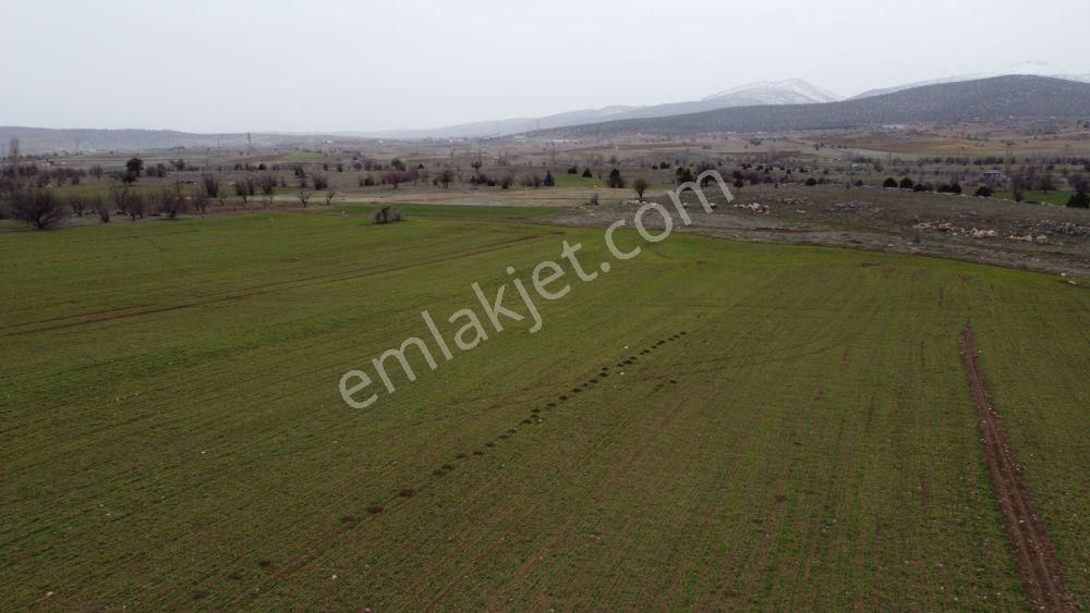 Konya / Akören / Tülce Mahallesinde 2.822 M² Verimli Müstakil Tapu Tarla - Görsel 4