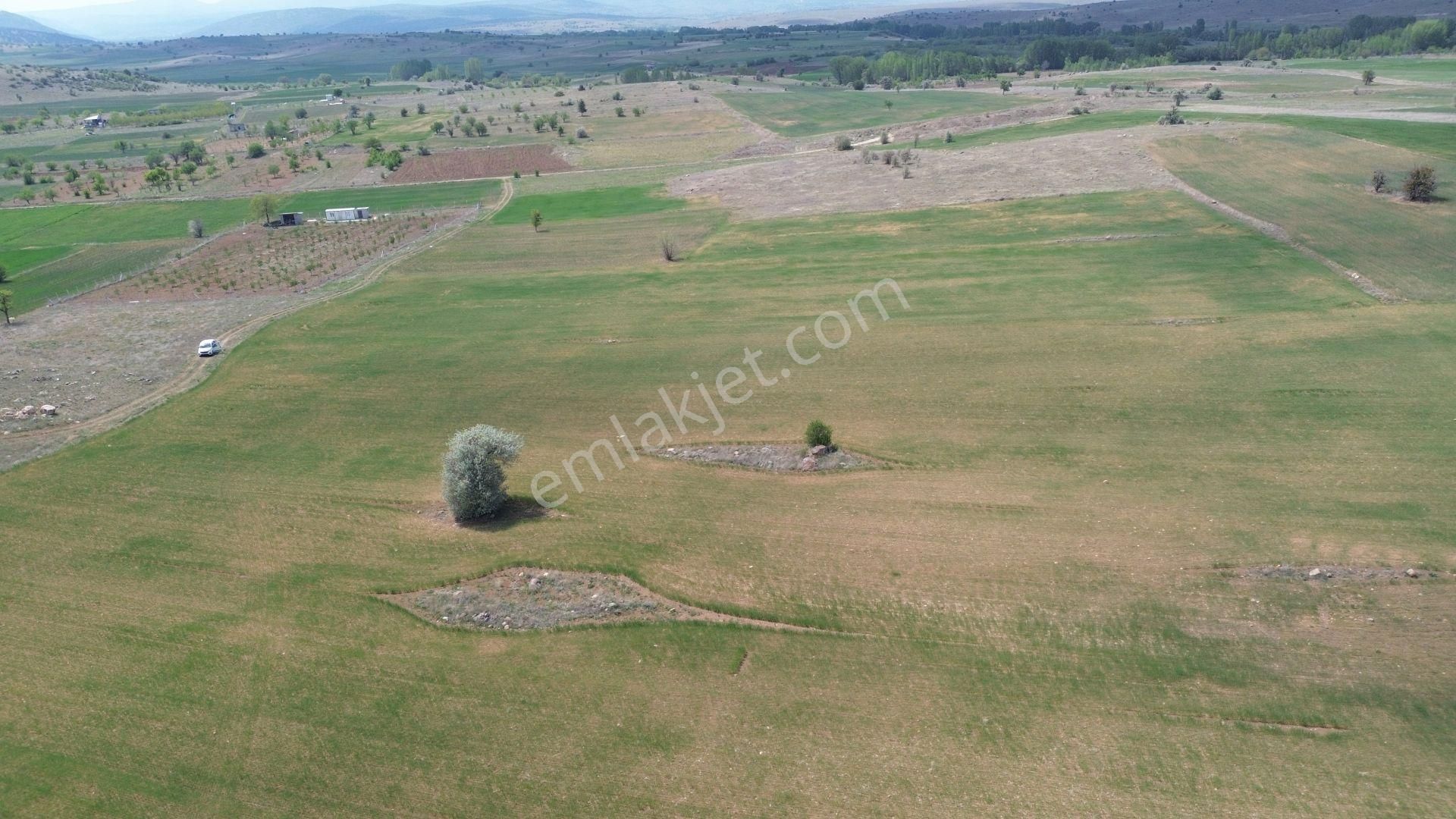 Konya / Akören / Tülce Mahallesinde 2.822 M² Verimli Müstakil Tapu Tarla - Görsel 2