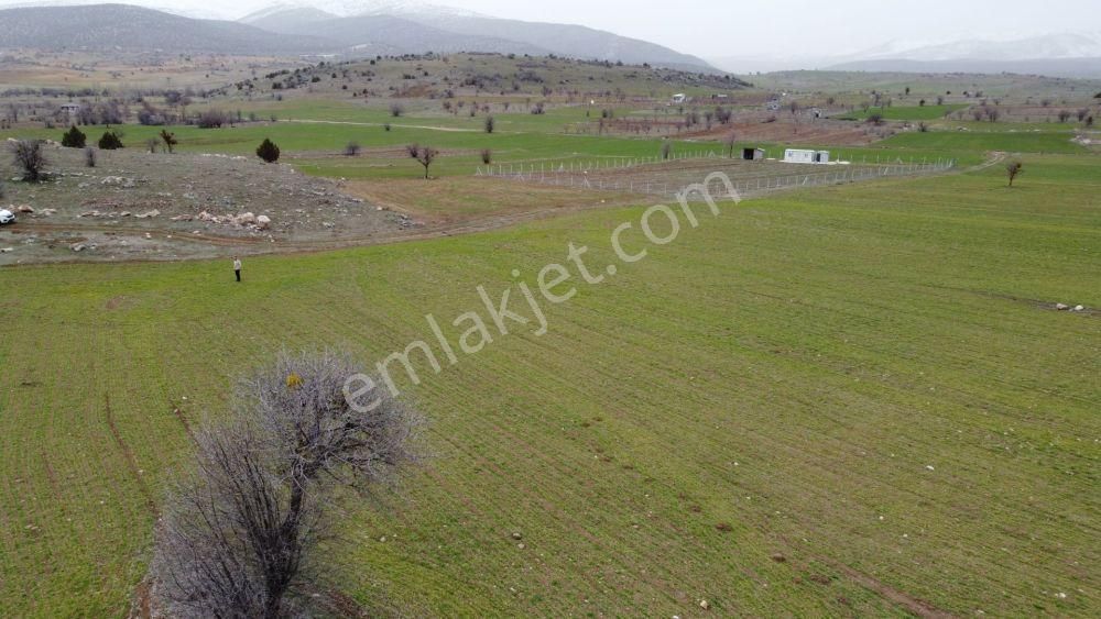 Konya / Akören / Tülce Mahallesinde 2.822 M² Verimli Müstakil Tapu Tarla - Görsel 9