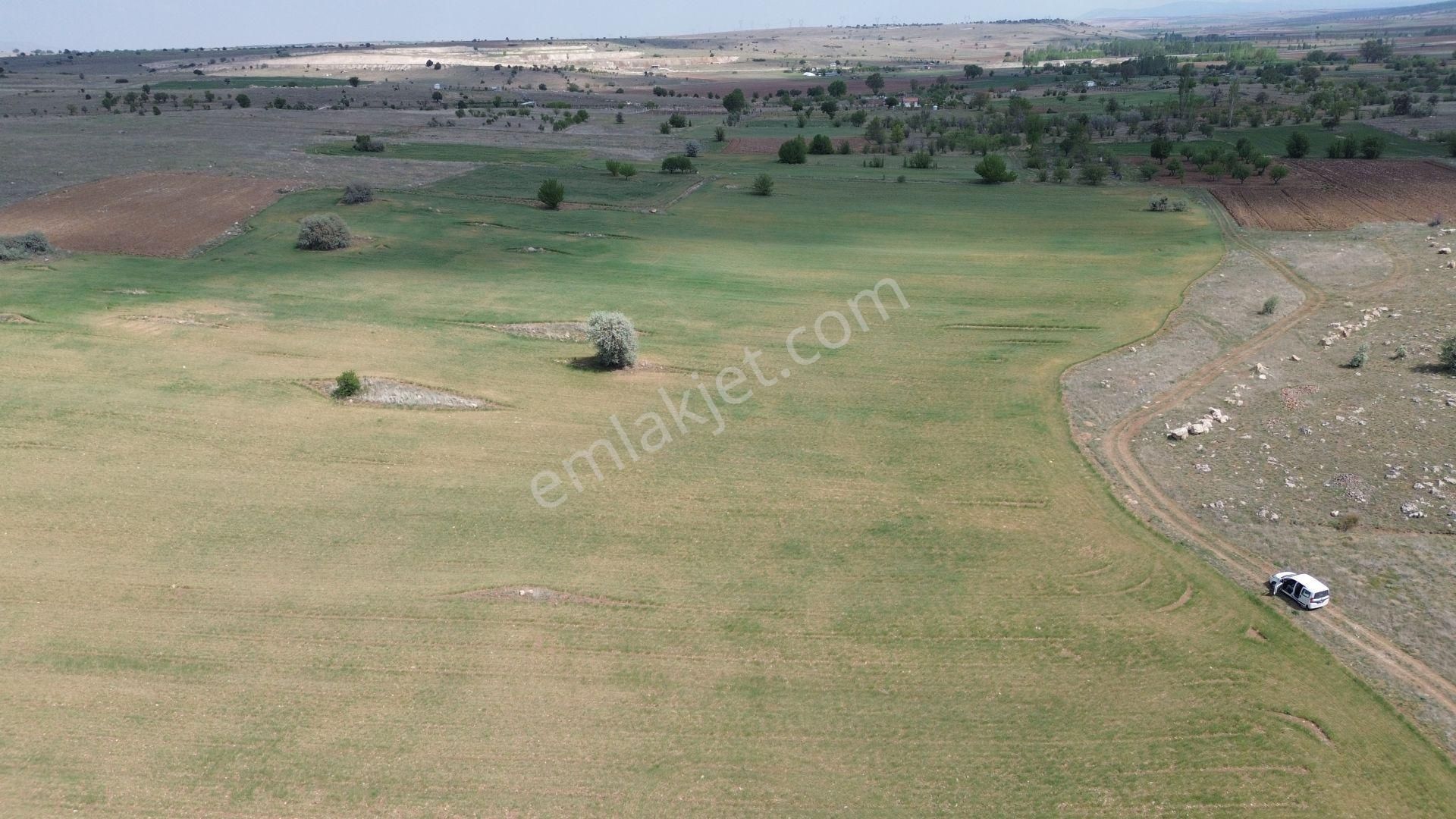 Konya / Akören / Tülce Mahallesinde 2.822 M² Verimli Müstakil Tapu Tarla - Görsel 3