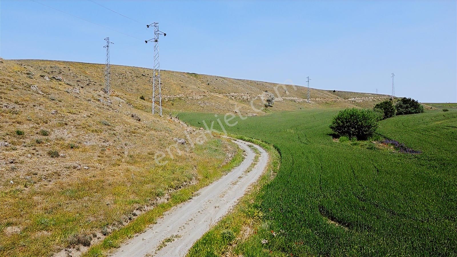 ***çeşme Başında Yol Kenarı Hisse Tapulu** - Görsel 8