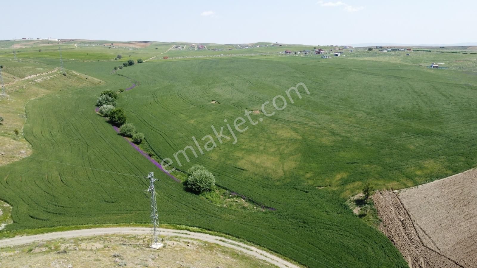 ***çeşme Başında Yol Kenarı Hisse Tapulu** - Görsel 23