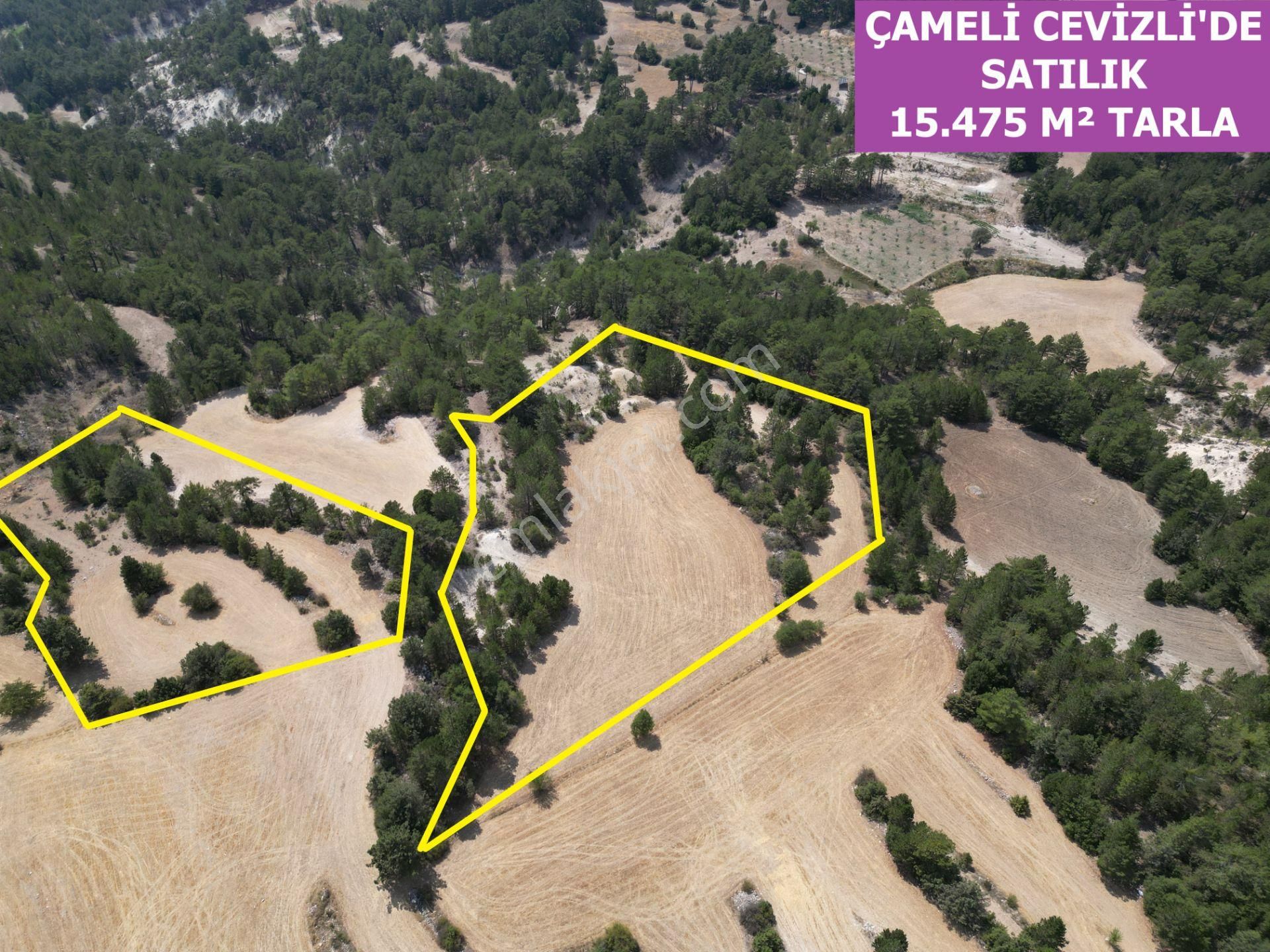 🦋lobby Fortis'ten Satılık Çameli Çevizli'de 15.475 M² Arazi🦋