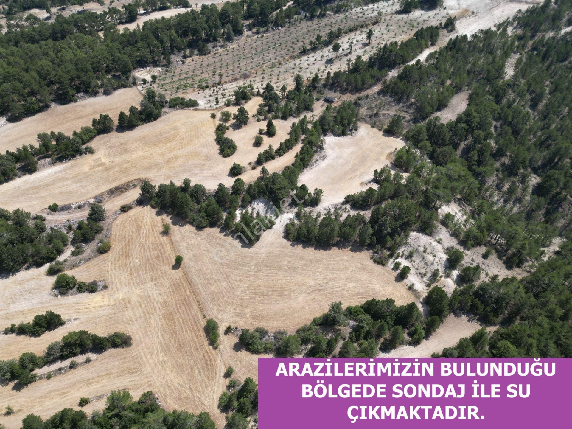 🦋lobby Fortis'ten Satılık Çameli Çevizli'de 15.475 M² Arazi🦋 - Görsel 5