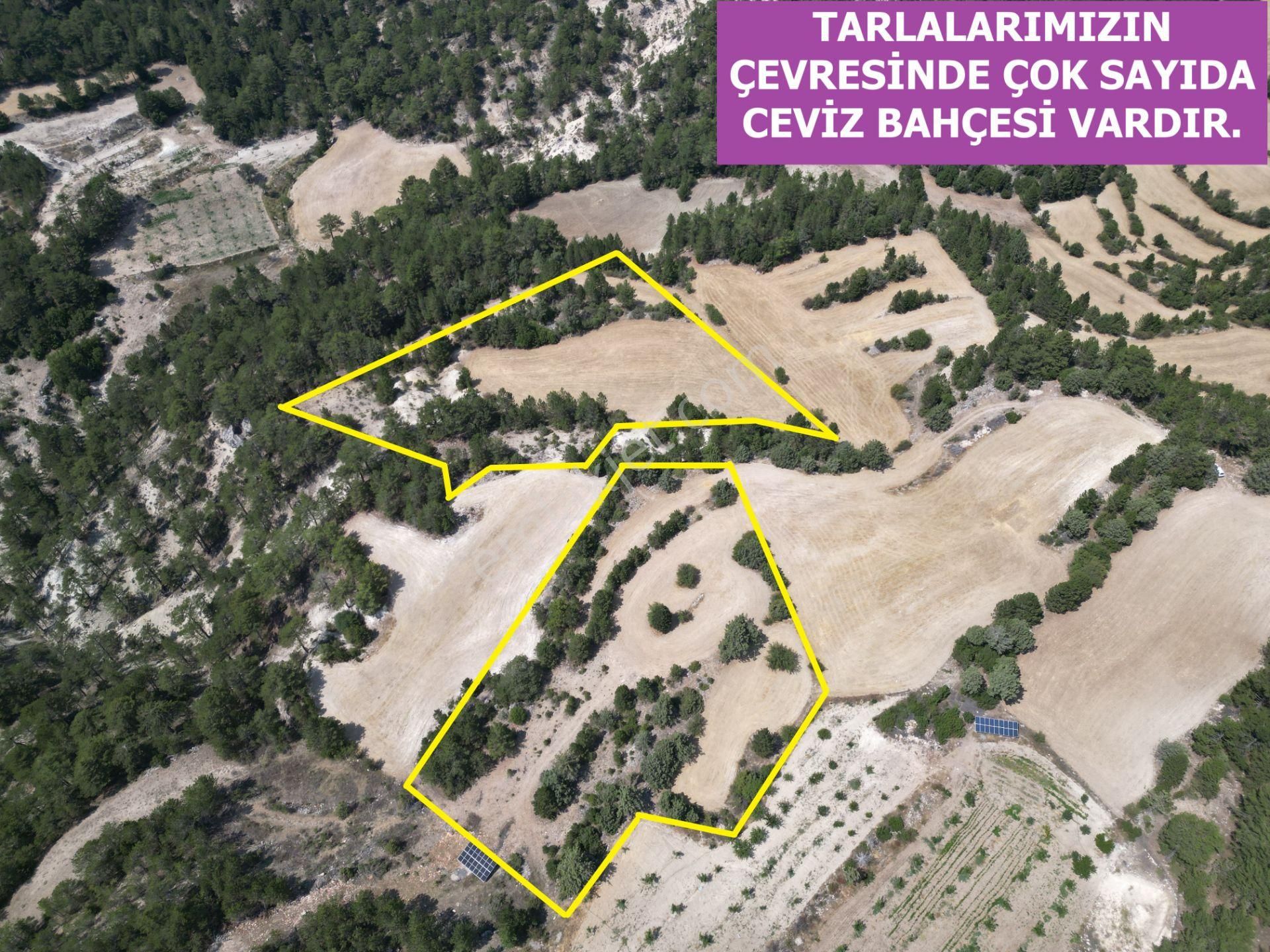 🦋lobby Fortis'ten Satılık Çameli Çevizli'de 15.475 M² Arazi🦋 - Görsel 4