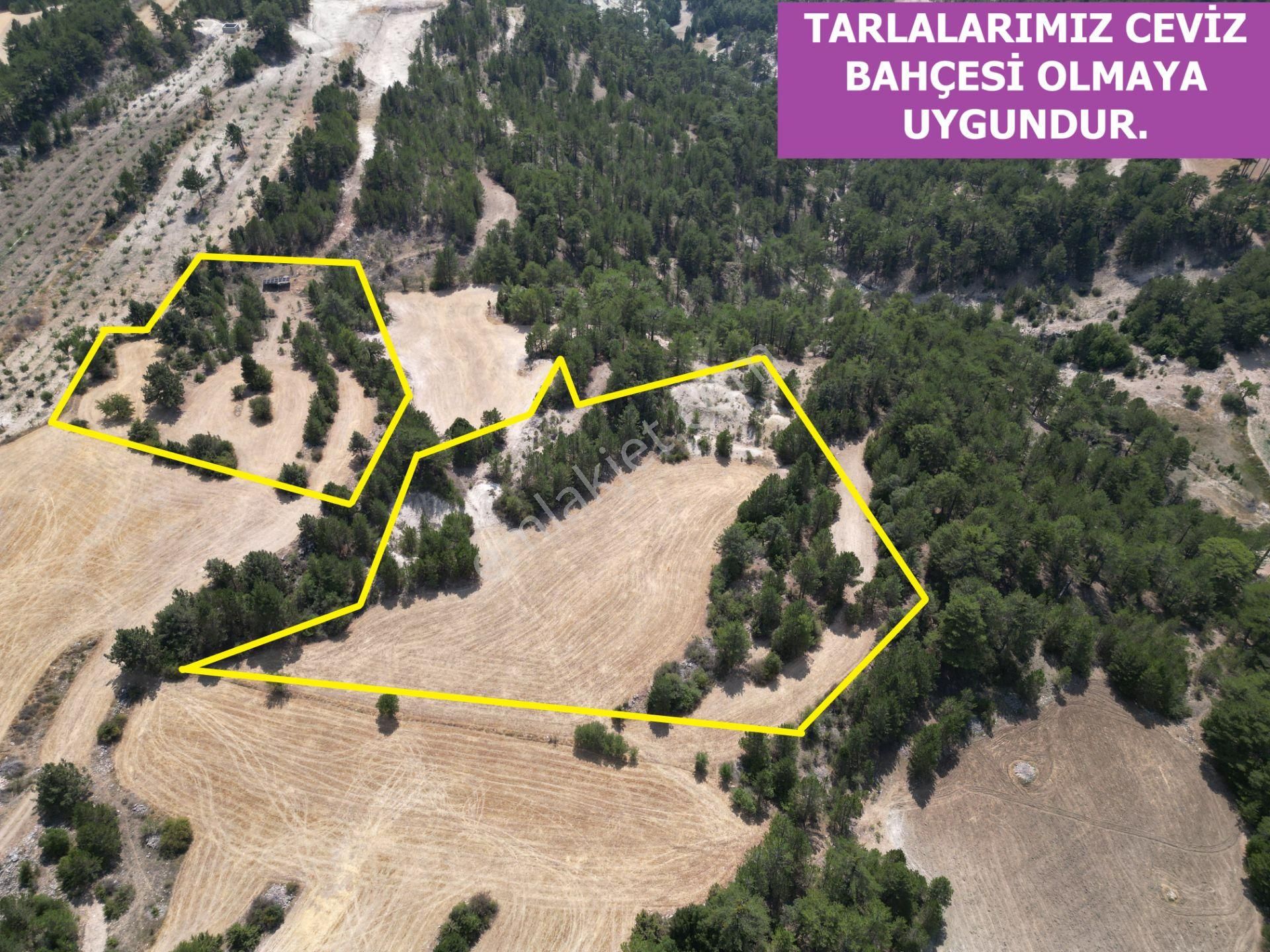 🦋lobby Fortis'ten Satılık Çameli Çevizli'de 15.475 M² Arazi🦋 - Görsel 2