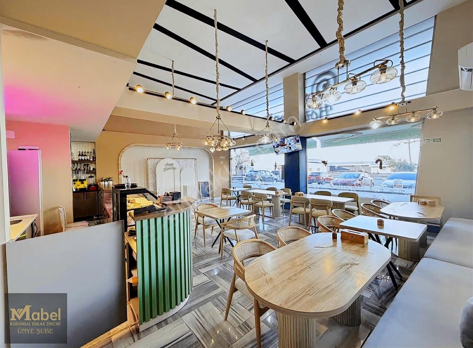 Ünyenin En Renkli,en Modrn,en Donanımlı Kafesi Ve Oyun Atolyesi - Görsel 6