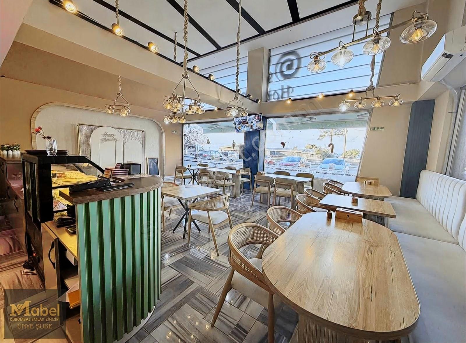 Ünyenin En Renkli,en Modrn,en Donanımlı Kafesi Ve Oyun Atolyesi - Görsel 5