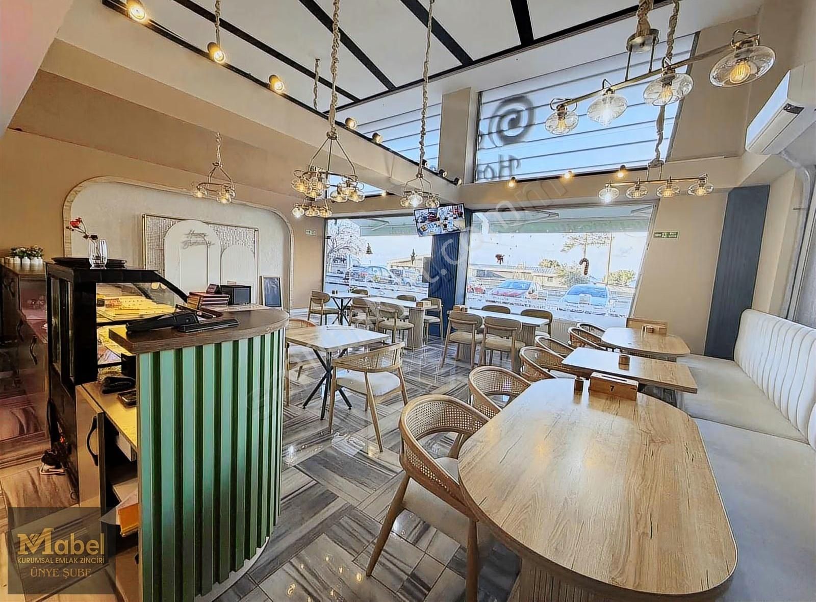 Ünyenin En Renkli,en Modrn,en Donanımlı Kafesi Ve Oyun Atolyesi - Görsel 34