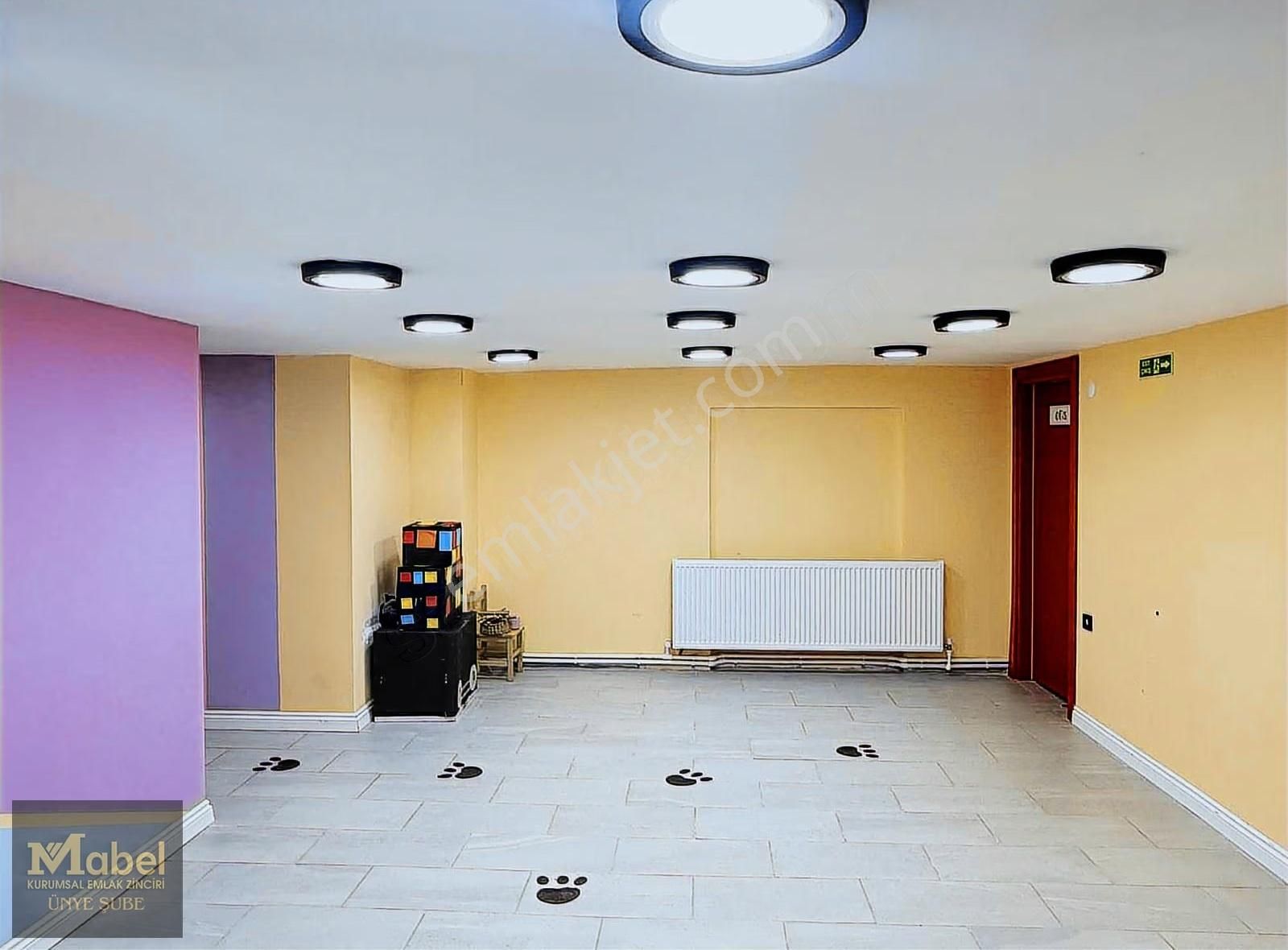 Ünyenin En Renkli,en Modrn,en Donanımlı Kafesi Ve Oyun Atolyesi - Görsel 2