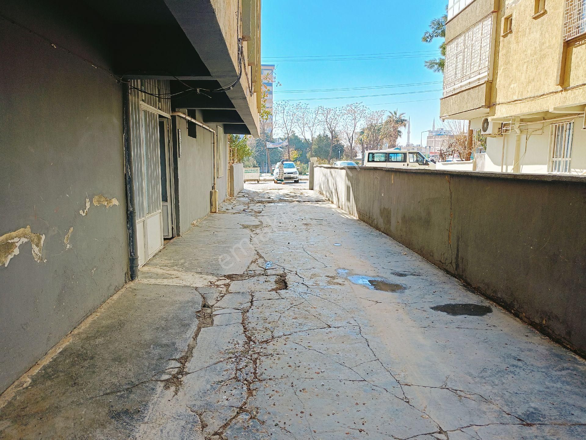 🏡dayı Yegen Emlaktan - Görsel 5