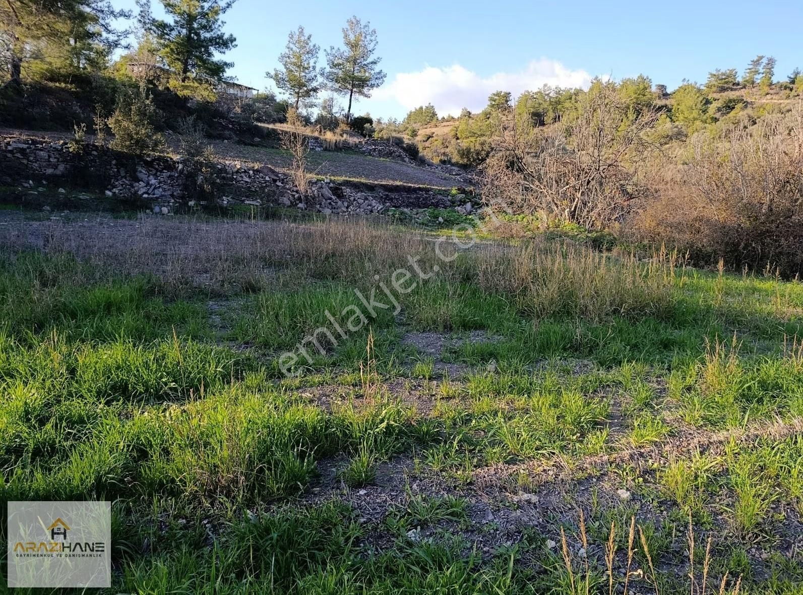 Çiftlik Mahalleside İçinde Kuyusu Olan Tarla Satılıktır - Görsel 7