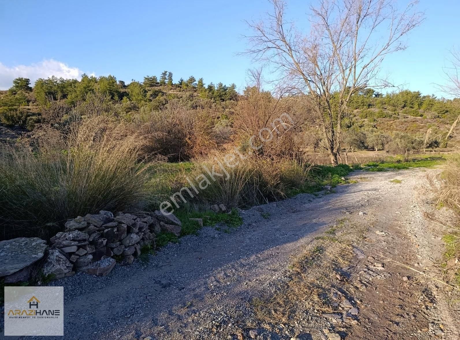 Çiftlik Mahalleside İçinde Kuyusu Olan Tarla Satılıktır - Görsel 11
