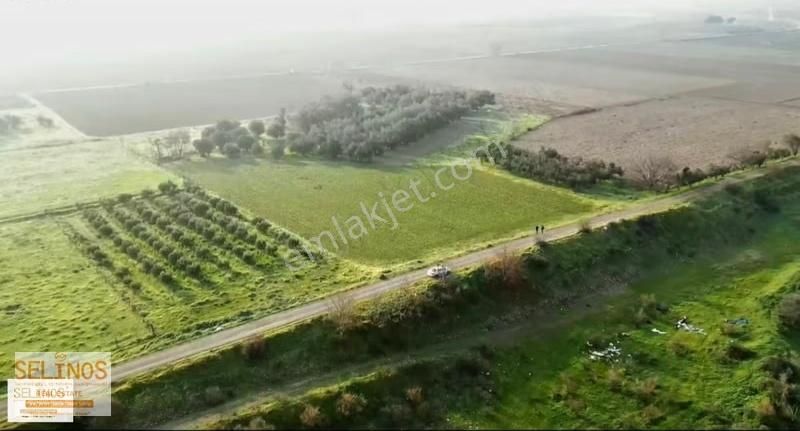 Bergama Ayasköy Mahallesinde 4838 M2 Yolu Olan Arazi - Görsel 2