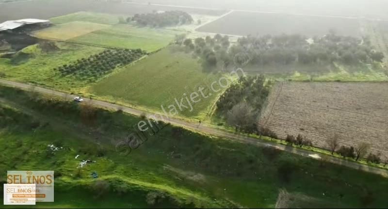 Bergama Ayasköy Mahallesinde 4838 M2 Yolu Olan Arazi - Görsel 17