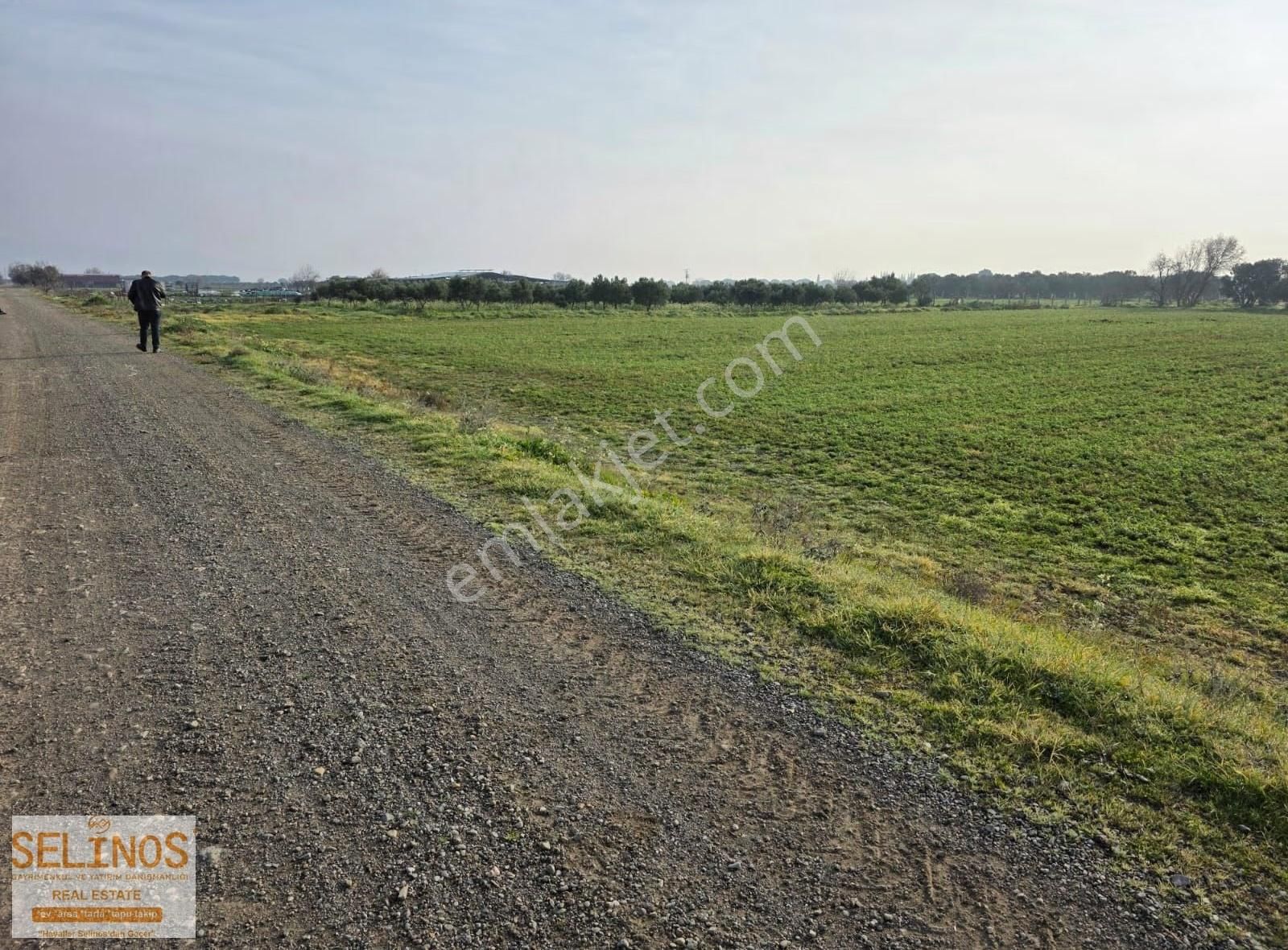 Bergama Ayasköy Mahallesinde 4838 M2 Yolu Olan Arazi - Görsel 6