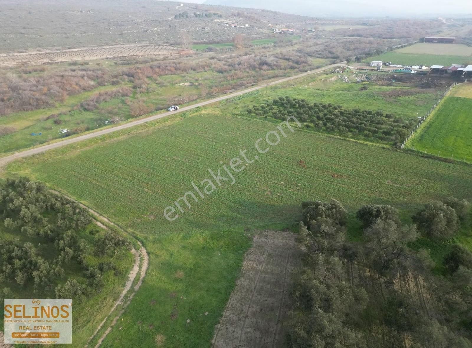 Bergama Ayasköy Mahallesinde 4838 M2 Yolu Olan Arazi - Görsel 18